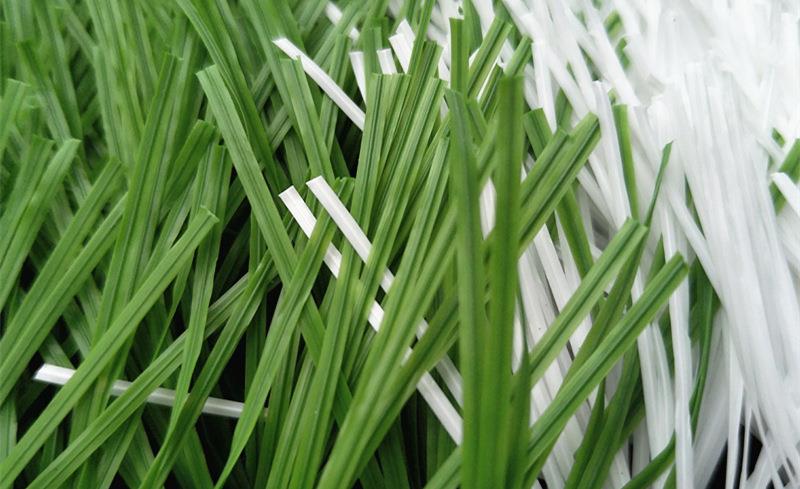 sports grass