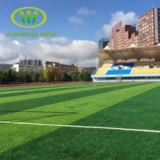 Soccer Field Grass