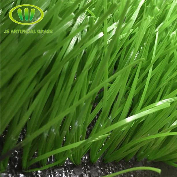Sport Turf Surfaces