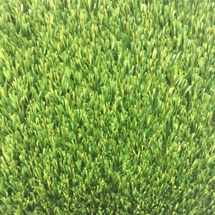 Front Yard Artificial Grass