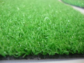Indoor Practice Putting Green