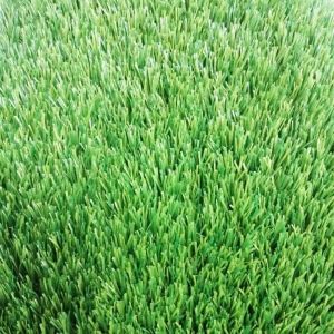 Synthetic Turf Landscaping