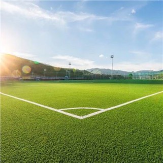 Vještački trava fudbal turf